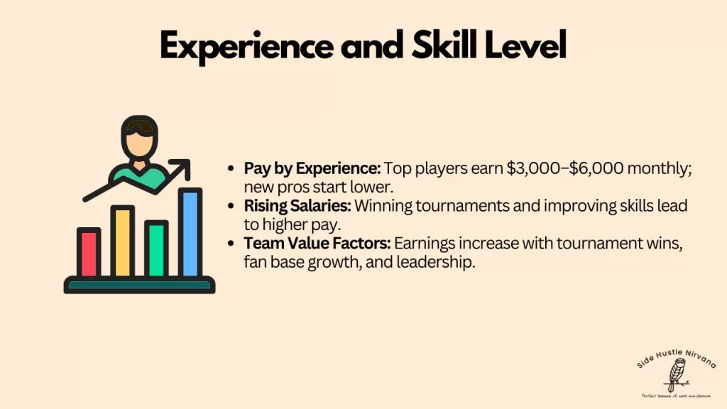 Experience and Skill Level