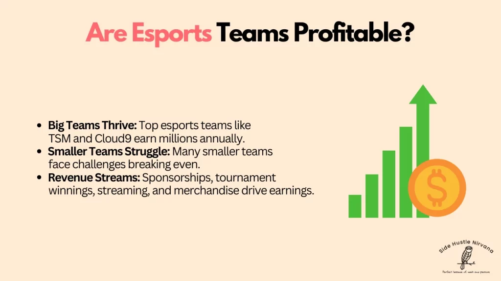 Are Esports Teams Profitable?