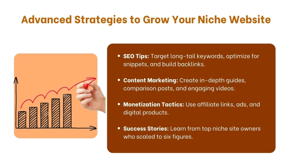 Advanced Strategies to Grow Your Niche Website